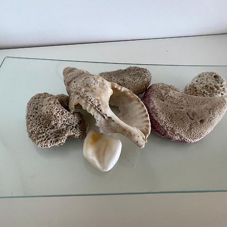 Appartamento Mar De Fondo En Pedregalejo Málaga Esterno foto